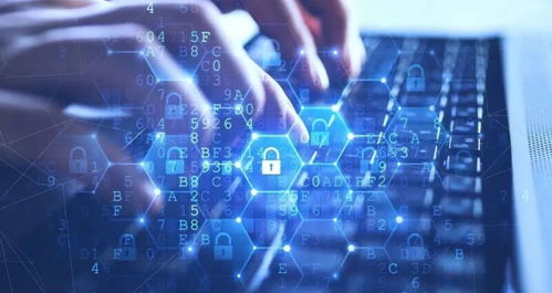 超市警惕 用户数据泄露风险与网络安全防护策略